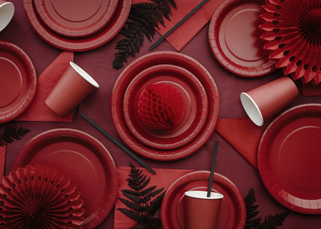 Talerzyki Papierowe Ciemne Czerwone na Urodziny Roczek Ślub Party 18cm 6szt