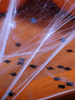 Konfetti Czarne Pająki Ozdoba Dekoracja na Stół Halloween 1,2cm 15g 500szt