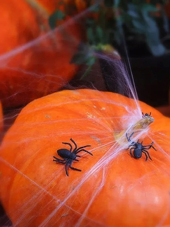 Pająki plastikowe Czarne Dekoracja Ozdoba na Urodziny Halloween 3x3cm 10szt