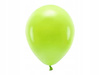 Balony ECO 30cm pastelowe Z. JABŁUSZKO 10sz roczek