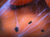 Konfetti Czarne Pająki Ozdoba Dekoracja na Stół Halloween 1,2cm 15g 500szt