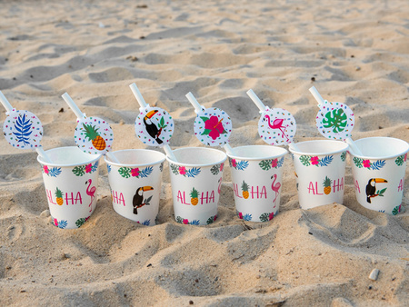Słomki Papierowe Kolorowe Aloha Hawajskie na Urodziny Roczek Party 20cm 6sz
